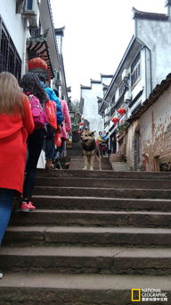 天上街市山齐云