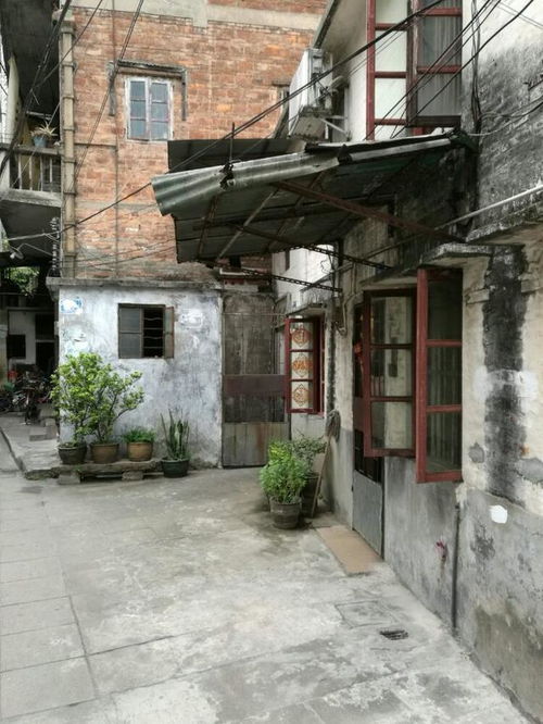 寻街市 在老广州的烟火气中打捞城市记忆