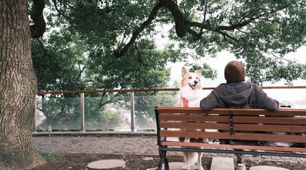 汪汪GO·漫步钱湖 | 寻陶公街市，览山色湖光